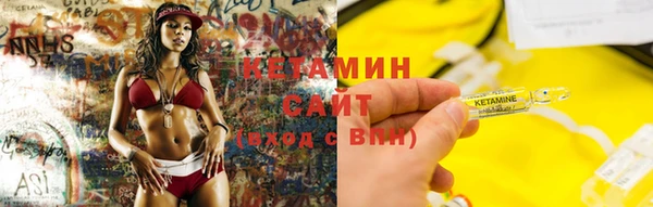 прущие грибы Наволоки