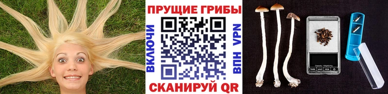 Галлюциногенные грибы Magic Shrooms мега сайт Аксай